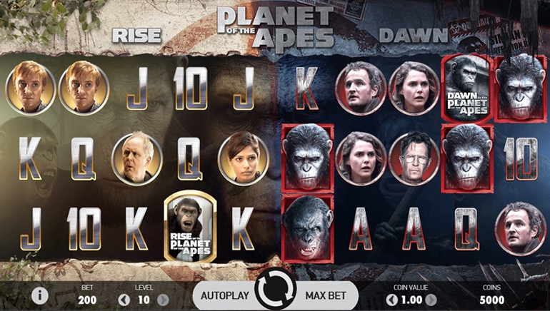 888 Casino老虎机精彩不断